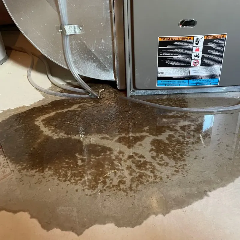 Pipe Burst and Leak Restoration in Hopewell, VA