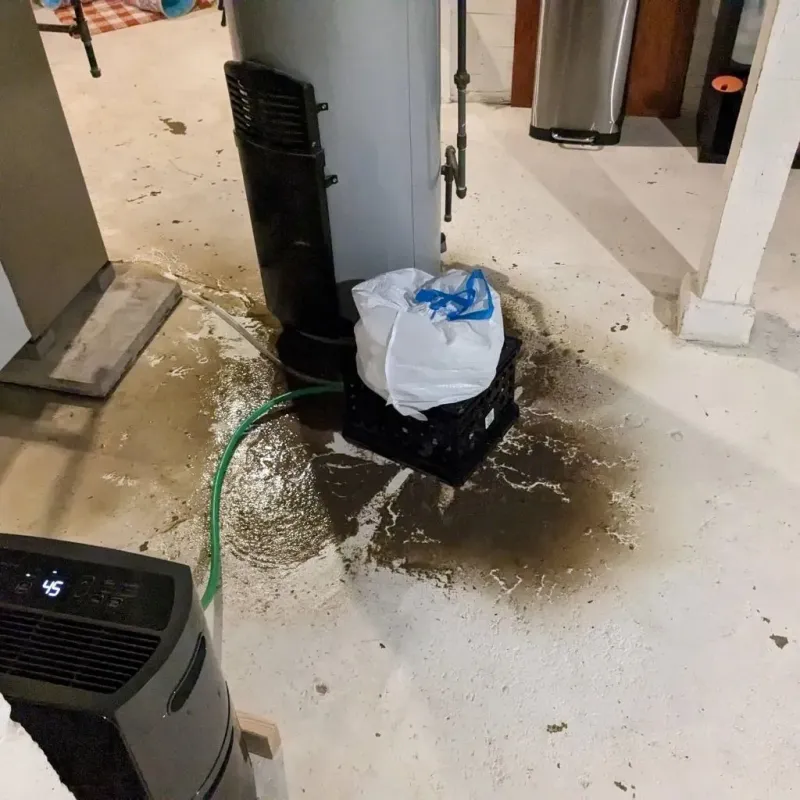 Sewage Backup Cleanup Service in Hopewell, VA